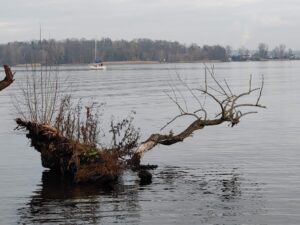 der erste Segler