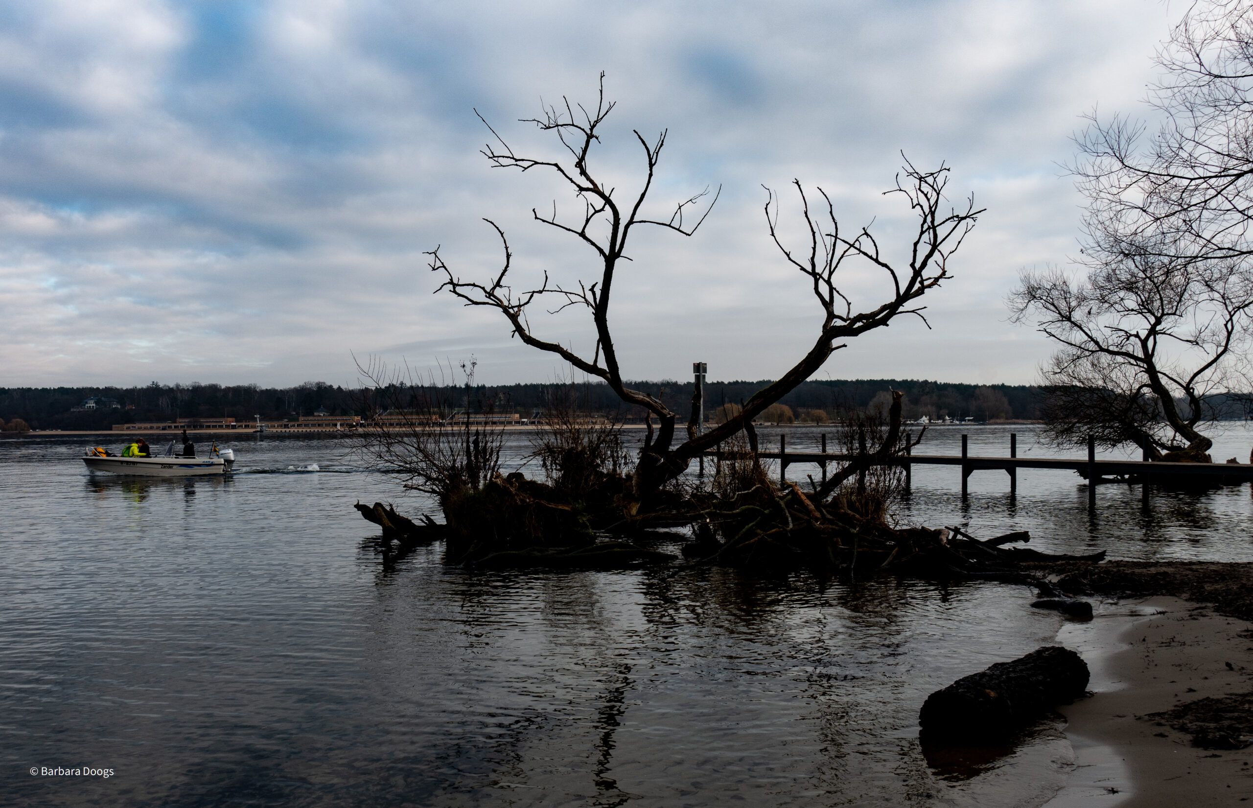 Am Ufer des Wannsees