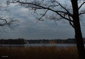 Blick über den Wannsee