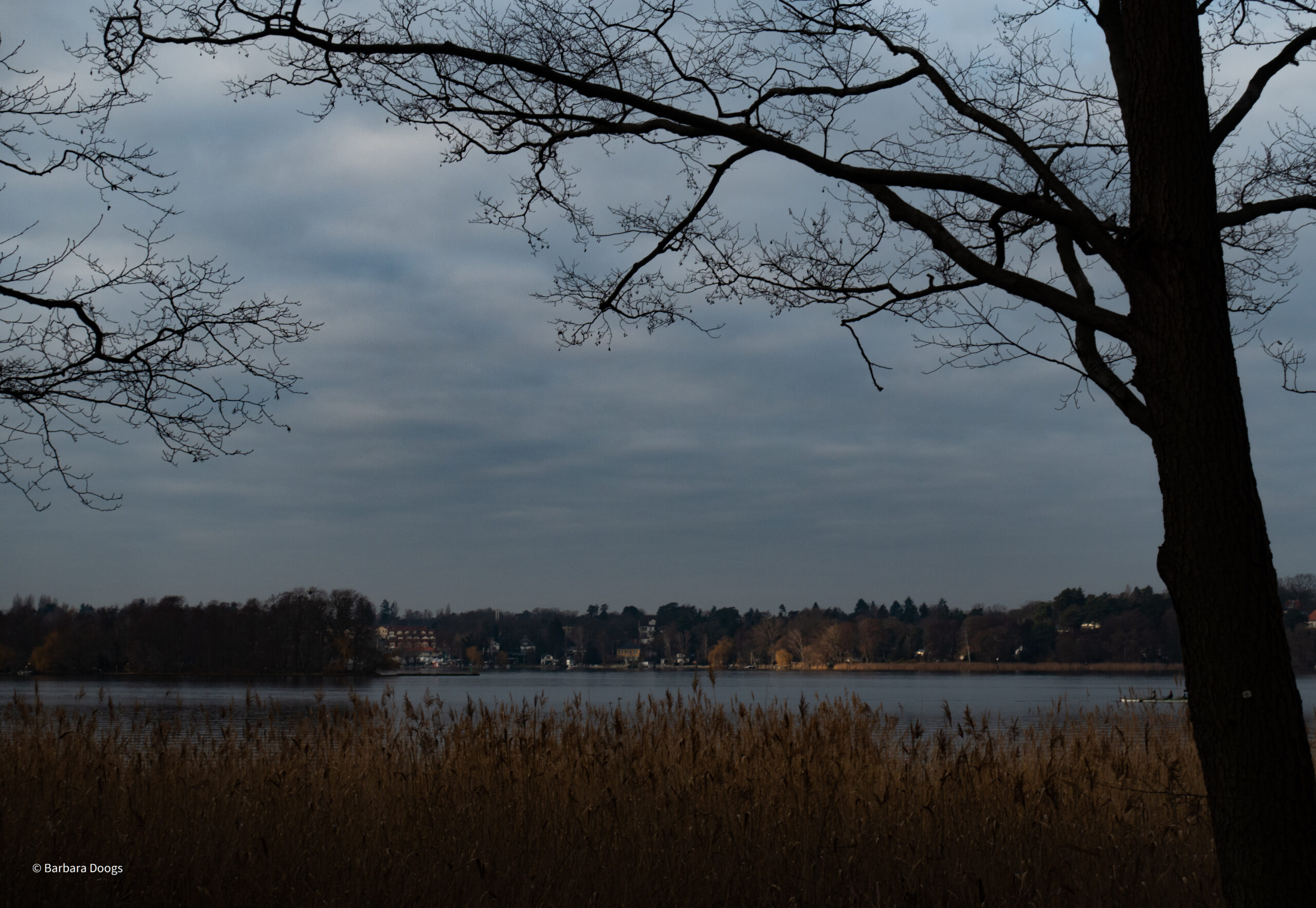 Blick über den Wannsee