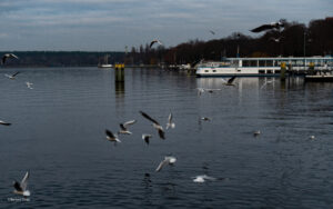 Am Hafen